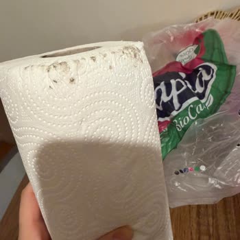 Migros Papia Kağıt Havluları Küf İçinde