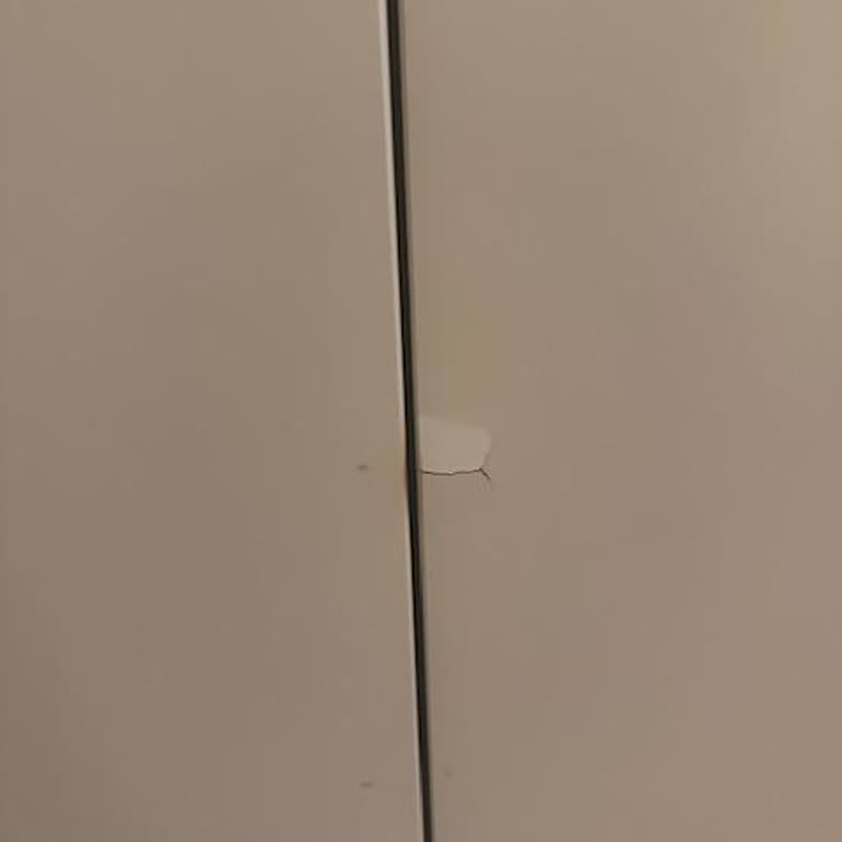 Eksik Parçalar Ve Yanlış Sipariş Nedeniyle Çocuk Dolabı Kurulamıyor, Kapak Hasar Görüyor