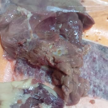 Depom Market'ten Süresi Geçmiş Ve Bozulmuş Tavuk Ciğeri Gönderildi