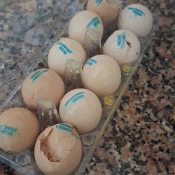 Teslim Edilen Ürünlerde Kırık Yumurta Ve Açık Un Paketi