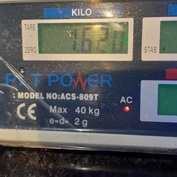 Sipariş Edilen Somon Ağırlığı Yarıya Düşüktü, İade Talebi