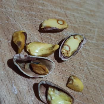 Bayburt Kuruyemiş Satın Alınan Kavrulmuş Antep Fıstığının Bayat ve Bozuk Olması