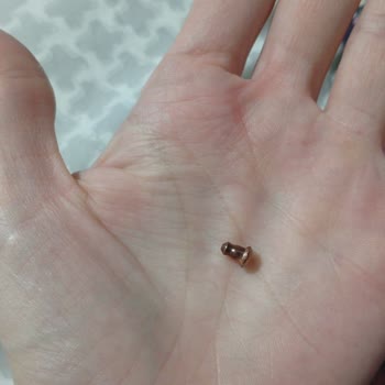 Kusurlu Küpeler Ve Kararmış Kaplama Nedeniyle Ücret İadesi Talebi