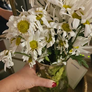 Cam Kavanozlu Papatya Buketi Bir Gün İçinde Soldu, Ücret İadesi İstiyorum