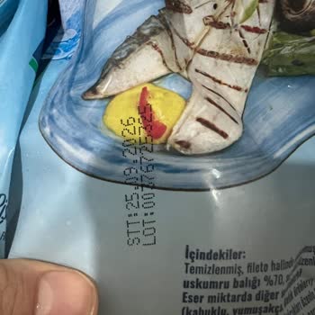 Bando Seafood Uskumru Filetosu Buzlu Ve Parazit Sağlık Şoku