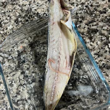 Bando Seafood Uskumru Filetosu Buzlu Ve Parazit Sağlık Şoku