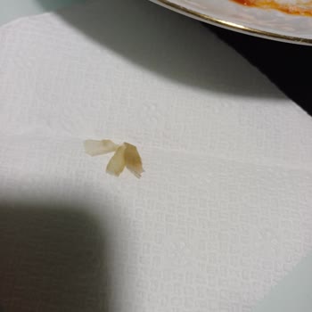 BİM Tavşanlı Pelmeni Mantı İçinde Plastik Parça Bulunması Güvenlik Sorunu