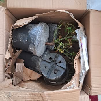 Koli Dağınık Ve Çiçekler Zarar Görmüş: Hepsijet'ten Özenli Teslimat Talebi