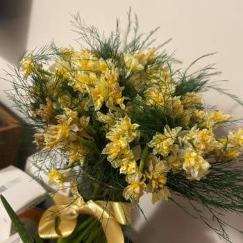 İstanbul Çiçekleri İstanbul Çiçekçi Siparişimde Görüntüyle Uyuşmayan Solmuş Çiçekler!