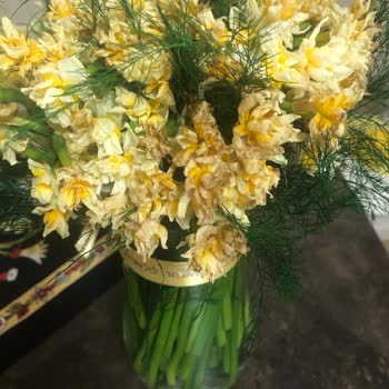 İstanbul Çiçekleri İstanbul Çiçekçi Siparişimde Görüntüyle Uyuşmayan Solmuş Çiçekler!