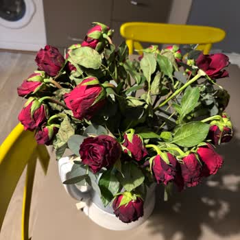 Solmuş Çiçek Buketi İçin Ücret İadesi Talebi