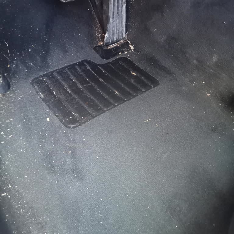 BMW 316i 2011 İç Döşemede Yağmurla Gelen Su Sızıntısı Üretim Hatası