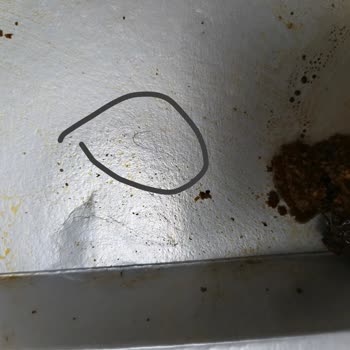 Kıl Çıkan Yemekte Hijyen Sorunu Ve Müşteri Temsilcisinin İlgisiz Tutumu