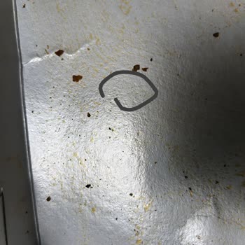 Kıl Çıkan Yemekte Hijyen Sorunu Ve Müşteri Temsilcisinin İlgisiz Tutumu