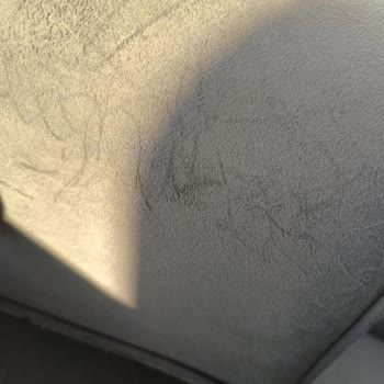 Kedi Dostu Kumaş İddiası Yanıltıcı, Ürün Değişimi Talep Ediyorum
