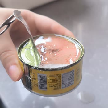 Fide Ton Balığı Konservesinde Küflenme Ve Sağlık Riski