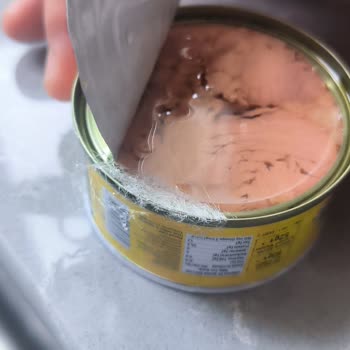 Fide Ton Balığı Konservesinde Küflenme Ve Sağlık Riski