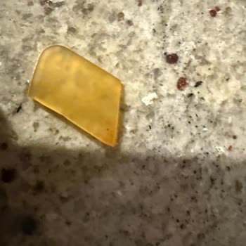 Brit Care Köpek Mamasında Bulunan Yabancı Cisim Sağlık Riskine Yol Açıyor