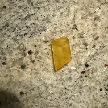 Brit Care Köpek Mamasında Bulunan Yabancı Cisim Sağlık Riskine Yol Açıyor