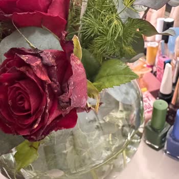 Güllerin Kurumuş Ve Özensiz Olduğu Teslimat