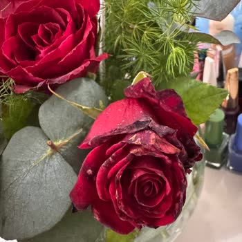 Güllerin Kurumuş Ve Özensiz Olduğu Teslimat