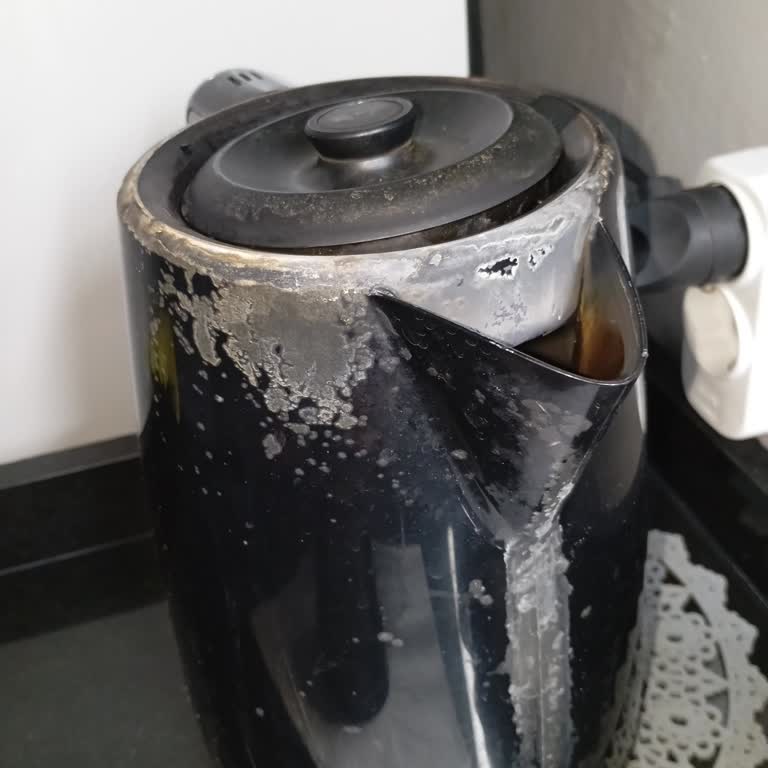 Plastik Parçanın Soyulması Ve Sağlık Endişesiyle Philips 7301 Çaycının Değişim Talebi