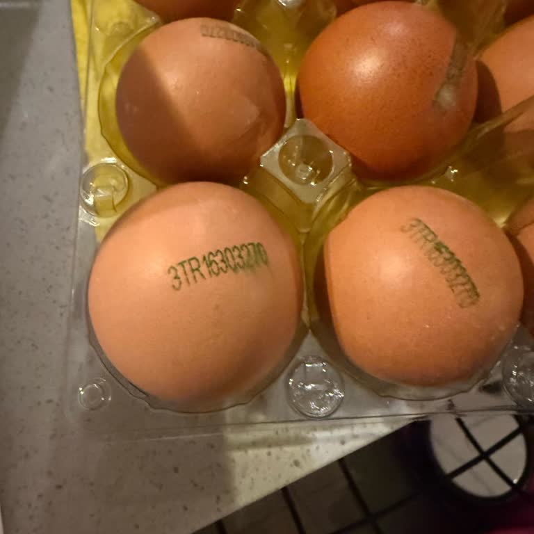 Yanlış Ürün Gönderimi: 1 Numaralı Yumurta Yerine 3 Numaralı Ürün