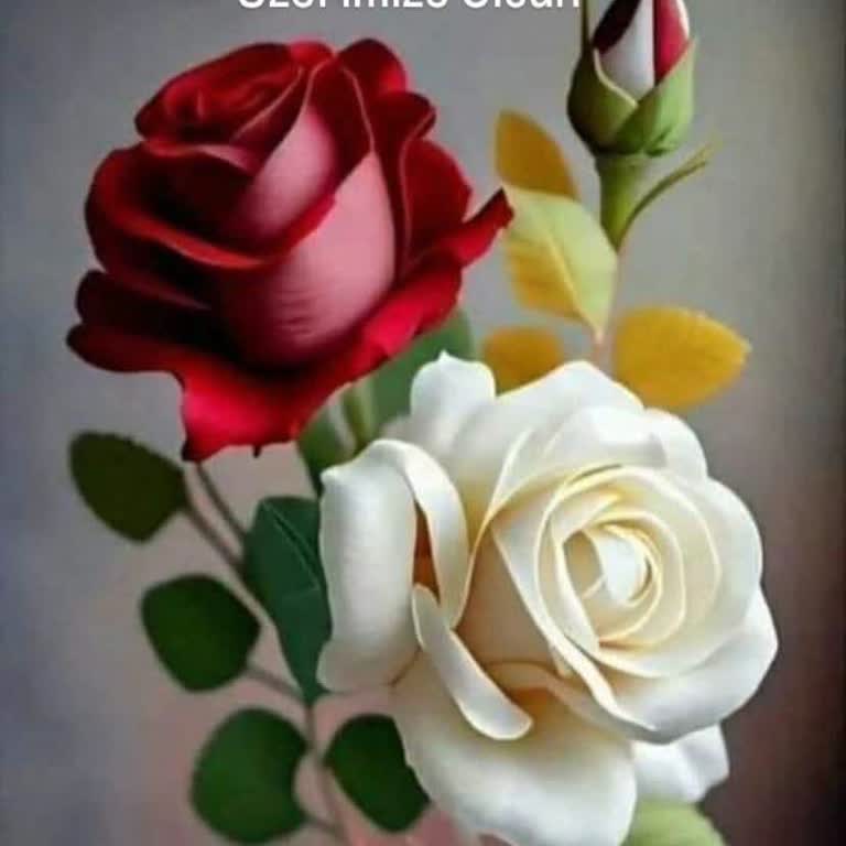 Para Çekme Talebim Reddedildi Ve Canlı Destek Yanıtsız Kaldı