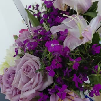 Solmuş Ve Böceklenmiş Çiçekler İçin Yetersiz İade Teklifi