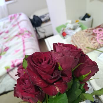 Sevgililer Günü Çiçeği Kırılmış, Kurumuş Ve Eksik Gönderildi: İade Talebi