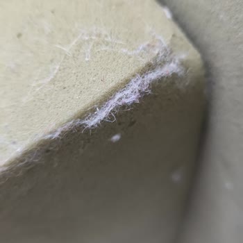 Lütuf Halı Yıkama’da Sünger Yıkama Hizmetinde Kalitesiz İşlem Ve Ücret İadesi Talebi