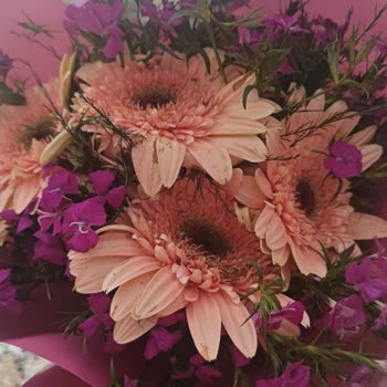 Çiçek Sepeti'nde Görsellerle Uyuşmayan Kusurlu Çiçek Teslimatı Ve İade Talebi