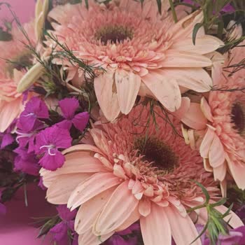 Çiçek Sepeti'nde Görsellerle Uyuşmayan Kusurlu Çiçek Teslimatı Ve İade Talebi