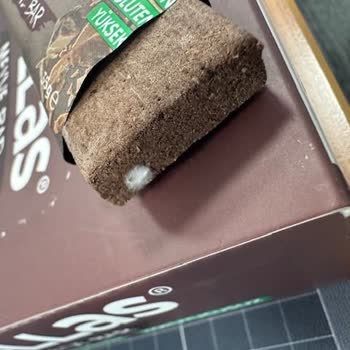 Fellas Meyve Bar Duble Kakao Ürününde Küflenme Sorunu Ve Değişim Talebi