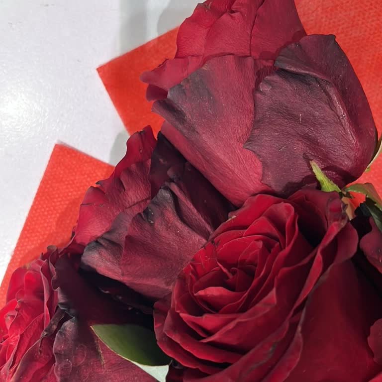 Çiçek Sepeti'nden Donmuş Çiçek Teslimatı Ve Yetersiz Kupon Teklifi