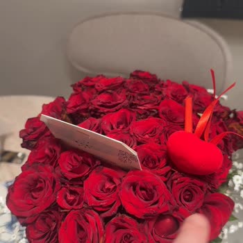 Osevio Gecikmiş, Eksik Ve Yanlış Gelen Çiçek Siparişi İçin Tam İade Talebi