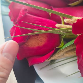 Bozuk Ve Küflü Gül Buketi İçin Hızlı Çözüm Talebi