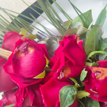 Bozuk Ve Küflü Gül Buketi İçin Hızlı Çözüm Talebi