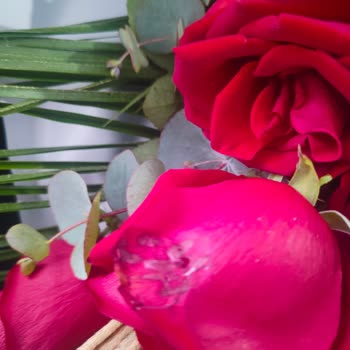 Bozuk Ve Küflü Gül Buketi İçin Hızlı Çözüm Talebi