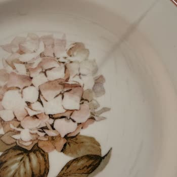 Ortanca Yemek Takımındaki Siyahlıklar Ve Çatlaklar İçin Değişim İsteği