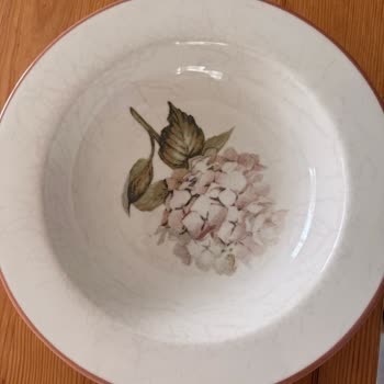 Ortanca Yemek Takımındaki Siyahlıklar Ve Çatlaklar İçin Değişim İsteği