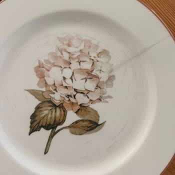 Ortanca Yemek Takımındaki Siyahlıklar Ve Çatlaklar İçin Değişim İsteği