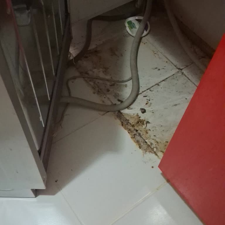 Ödenen Ücret Sonrası Çamaşır Makinesi Arızalı Ve Su Baskını