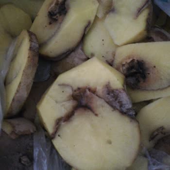 A101 Muratpaşa Şubesinde İrmik Ve Patateslerde Böcek Ve Kurt Sorunu, İade Reddi