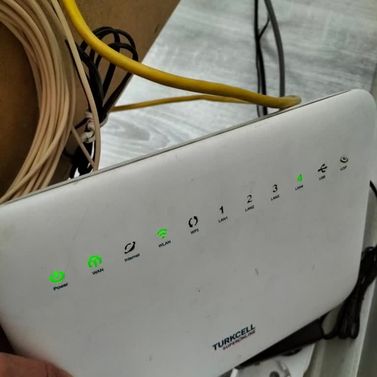 Fare Yiyen Kablolar Nedeniyle 12 Gün Süren İnternet Kesintisi Ve Çözüm Eksikliği