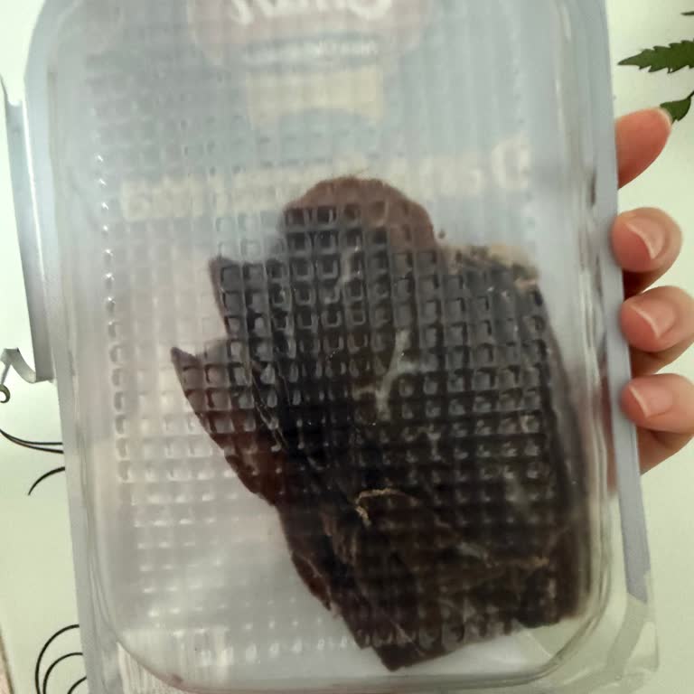 Buzdolabında Saklanan Pastırmanın Bozulması Ve Sağlık Endişesi