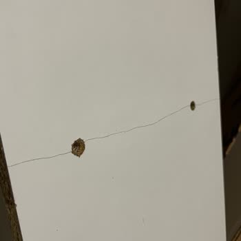 BİM'den Aldığım Banyo Dolabında Defolu Parçalar Ve Cevapsız Müşteri Hizmeti