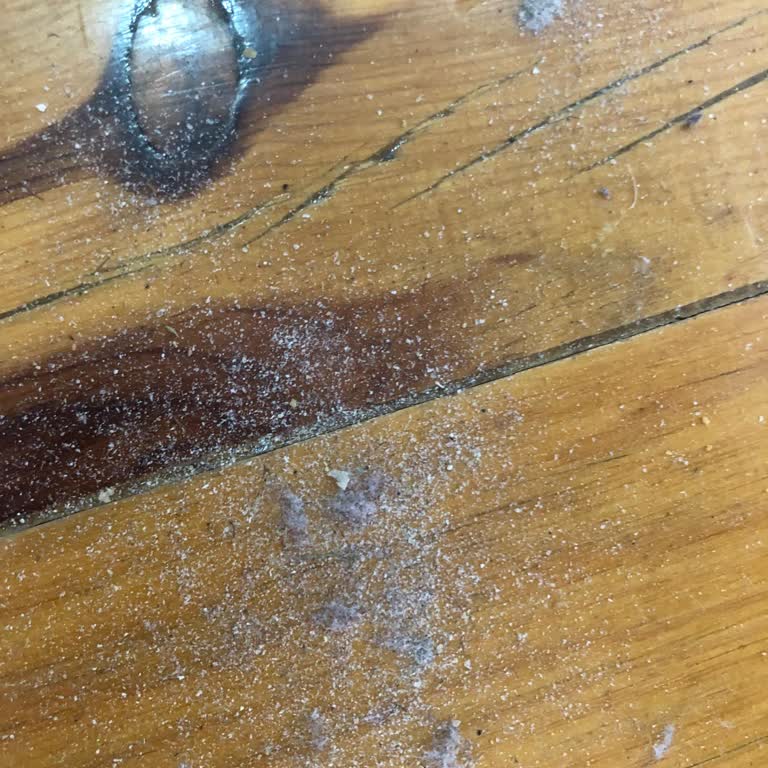 Philips 7000 Dik Süpürge Toz Döküyor, Acil Çözüm Talebi