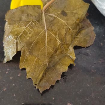 Nurayin_bahçesi Bozulmuş ve Sağlıksız Gıda Ürünleri Göndermesi