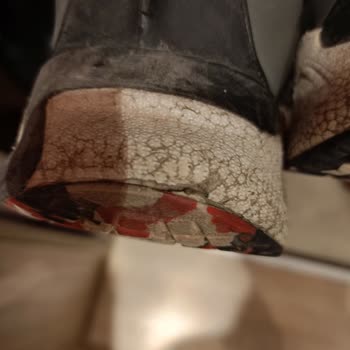 Garanti Kapsamındaki Ayakkabılarda Açılma Sorunu Ve Olumsuz Mağaza Yanıtı